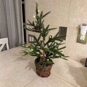 NWT Pottery Barn LED Pre-Lit Holiday Tree with Lights